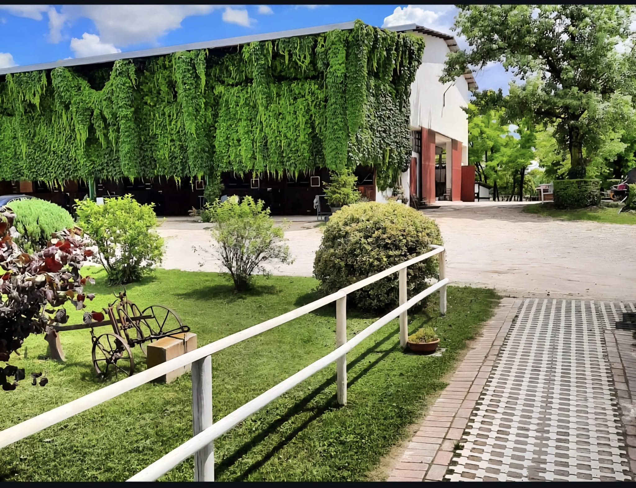 Il maneggio Gallo Rosso d'estate, con l'edera verde sulla facciata